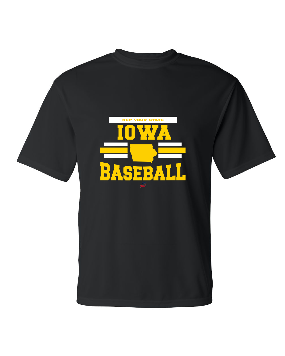 Iowa Logo2 Dri Fit T-Shirt